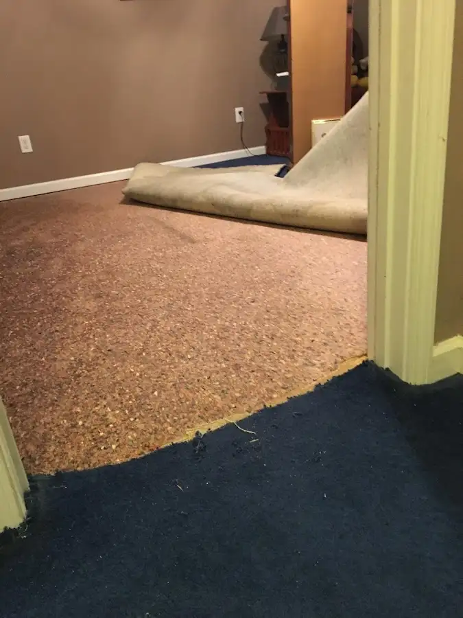 Carpet pad removal revealing water damage during Water Mitigation Services in Villa Park
